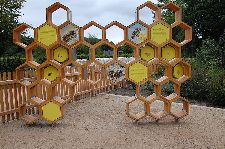 Erlebnisstation mit großer, unterfahrbarer Bienenwabe aus Holz 